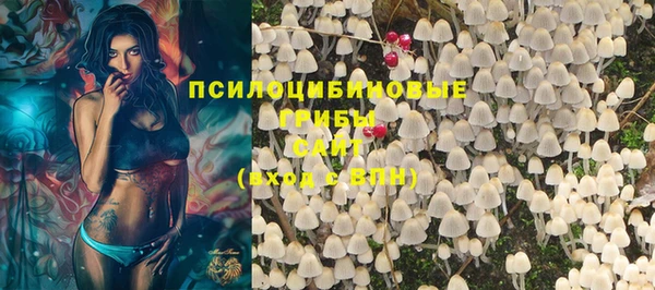 каннабис Богородицк