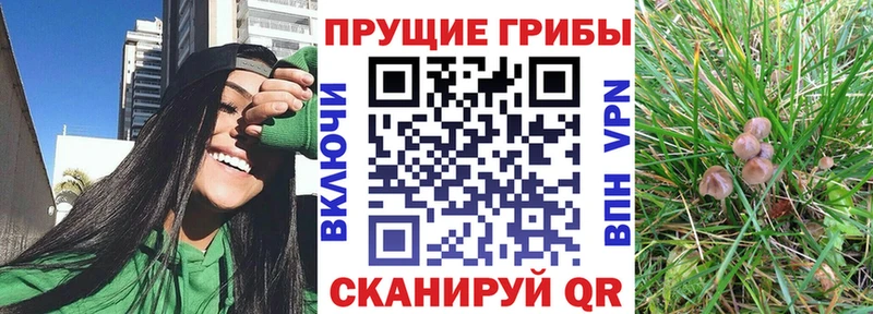 Псилоцибиновые грибы Cubensis  наркота  Воронеж 